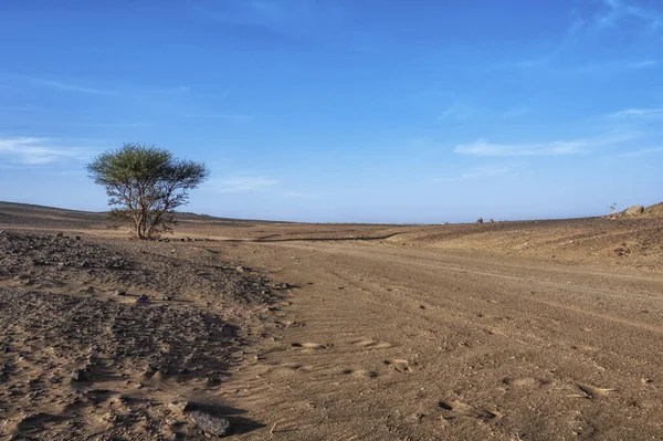 Kuzey Afrika, Fas 'taki geniş Sahra Çölü' nden geçerek
