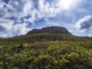 Lions Head Dağı, Güney Afrika 'daki Masa Dağı' nın kız kardeşi.