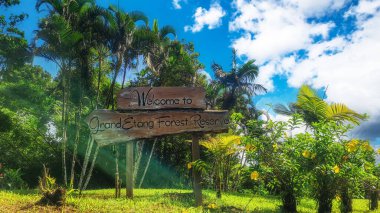 Grand Etang Ulusal Parkı, Grenada, Batı Hint Adaları, Karayip Adası. Burası sık ormanları, dağları, zengin bitki örtüsü ve faunası olan ünlü bir turistik yerdir..