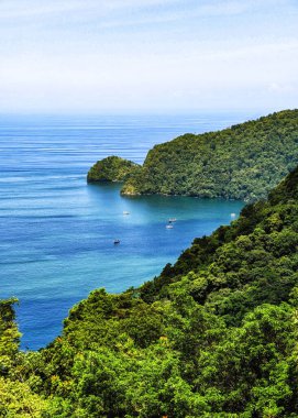 Maracas plajı gözcüsü Trinidad ve Tobago