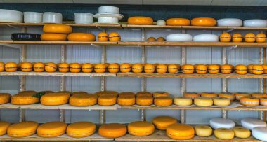 Geleneksel Hollanda peyniri Hollanda 'da satışta. Hollanda çeşitli sert ve yarı sert peynirler üretir.