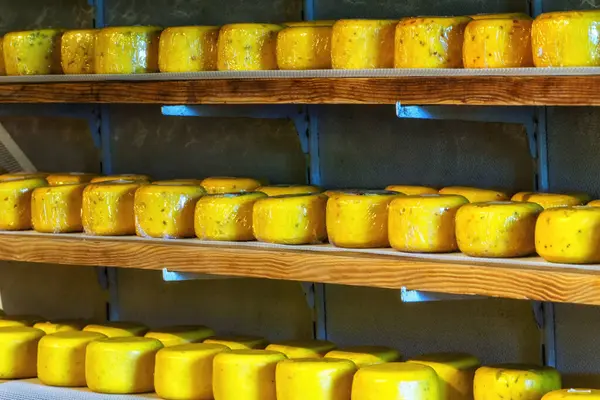 Yellow Dutch cheese displayed for sale in the Netherlands