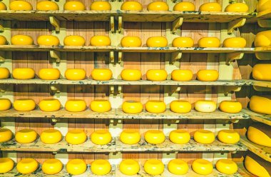 Raflardaki peynir kafalar. Zaanse-Schan 'lar. Hollanda 'da.