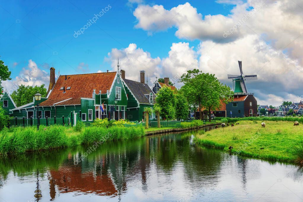 Sheeps grazing near traditional old country farm house in the museum village of Zaanse Schans, Netherlands