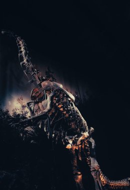 Leiden 'daki Naturalis Biyolojik Çeşitlilik Merkezi' nde bir dinozor iskeleti. 1820 'de kurulan müzede yaklaşık 40 milyon nesne bulunmaktadır.