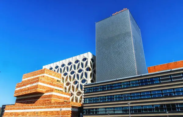 Leiden, Hollanda, 4 Mart 2022: Naturalis Biyolojik Çeşitlilik Merkezi ve Müzesi 'nin binaları