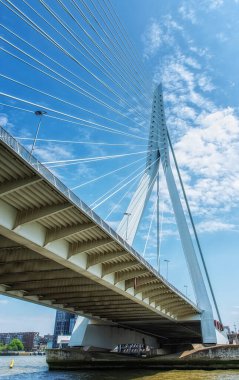 Hollanda, Rotterdam 'daki Erasmus Köprüsü' nün asma kablolarının direğe bağlı olduğu yerin alçak açılı görüntüsü