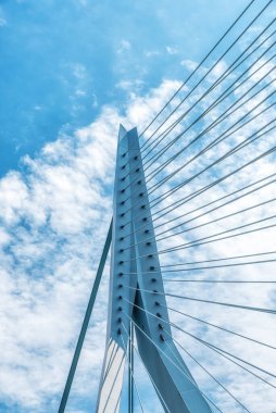 Rotterdam 'da modern ulaşım altyapısı tasarımında ileri mühendislik ve mimari maharet sergileyen önemli bir modern köprünün yapısal kablolarının yakın plan çekimi.