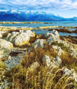Kuzey Canterbury 'deki Kaikoura yarımadası, Yeni Zelanda; karla kaplı dağlarla çevrili ünlü güzel paninsula