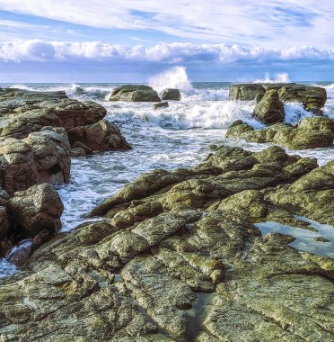 Kaikoura 'nın kayalık havuzlarının manzarası - Yeni Zelanda' nın Güney Adası 'nın doğu kıyısındaki popüler bir fok kolonisi ve balina izleme merkezi..