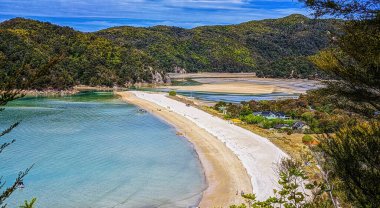 Torrent Körfezi 'nde deniz çekildiğinde sahil, Abel Tasman Ulusal Parkı, Yeni Zelanda.