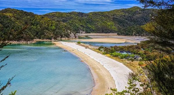 Torrent Körfezi 'nde deniz çekildiğinde sahil, Abel Tasman Ulusal Parkı, Yeni Zelanda.