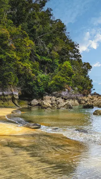 stock image Landscape with rocks, sand beach and lush rain forest vegetation, shot in bright spring light at Torrent bay, near Kaiteriteri, Abel Tasman park, South Island, New Zealand