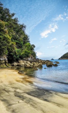 Torrent Körfezi, Abel Tasman Ulusal Parkı, Nelson Bölgesi, Güney Adası, Yeni Zelanda, Güney Pasifik