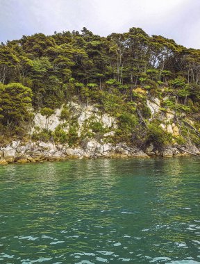kıyı görünümü, abel tasman Ulusal Parkı, Yeni Zelanda