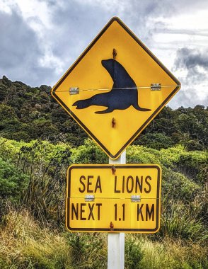 Road signs at the dead-end street to the Nugget Point at Kaka Point, Otago, New Zealand, pointing out the different dangers and regulations of this area. clipart