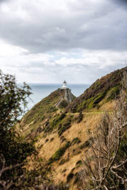 nugget noktada deniz feneri. catlins alan üzerinde Güney Sahili Yeni Zelanda, otago bölgesinde yer almaktadır. Deniz feneri nuggets, küçük bir kaya Adaları ile çevrilidir