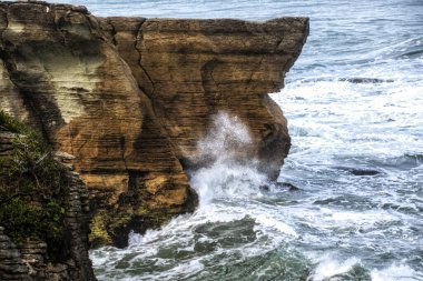 Garip şekilli egzotik kıyı kayalıkları. Arka planda okyanus, Yeni Zelanda.