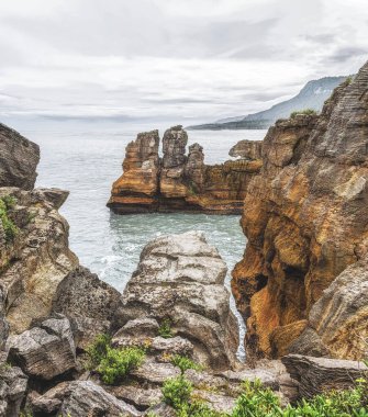 Garip şekilli egzotik kıyı kayalıkları. Arka planda okyanus, Yeni Zelanda.