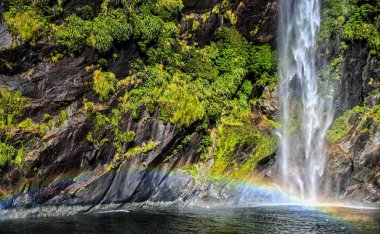 Yaz boyunca Milford Sound, Yeni Zelanda 'da Fairy Falls.
