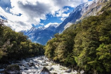 Buzul nehri bir vadideki kayaların üzerinden akıyor, Milford Sound, Güney Adası, Yeni Zelanda