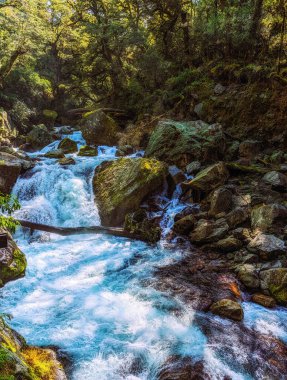 Milford Sound, Yeni Zelanda 'daki kayaların ve dağların arasından akan küçük bir nehir.