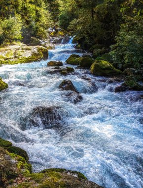 Milford Sound, Yeni Zelanda 'daki kayaların ve dağların arasından akan küçük bir nehir.
