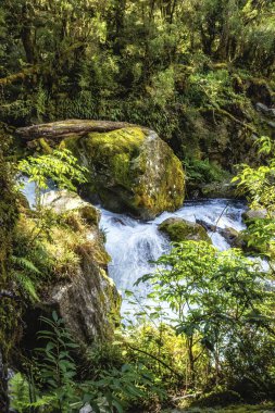 Milford Sound, Yeni Zelanda 'daki kayaların ve dağların arasından akan küçük bir nehir.