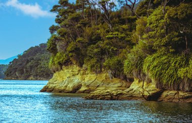 Queens Charlotte Sound 'un manzarası, Picton Yeni Zelanda