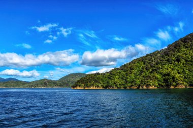 Queens Charlotte Sound 'un manzarası, Picton Yeni Zelanda