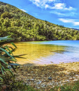 Gemi Koyu, Yeni Zelanda, Kraliçe Charlotte Track, Kaptan Cook inişi