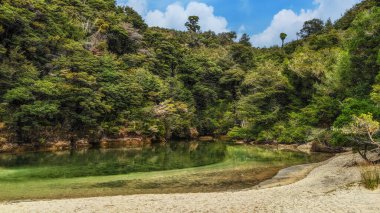 Kayalar, kumsallar ve yemyeşil yağmur ormanı bitkileriyle dolu manzara, Abel Tasman Parkı, Güney Adası, Yeni Zelanda 'da çekildi.