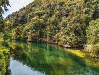 Abel Tasman Ulusal Parkı 'ndaki Falls Nehri, Yeni Zelanda