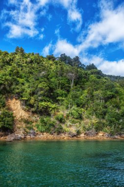 Queens Charlotte Sound 'un manzarası, Picton Yeni Zelanda