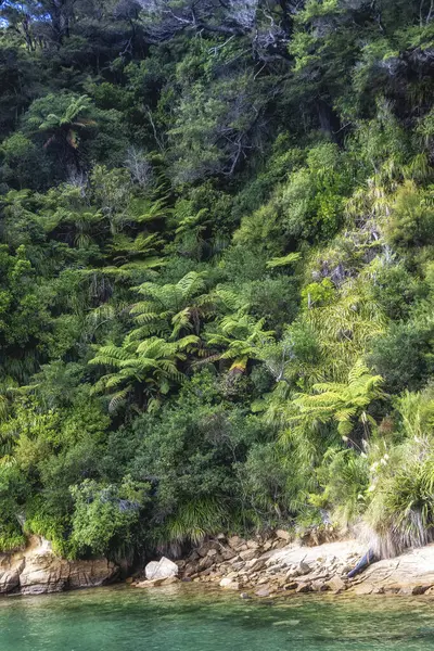 Queens Charlotte Sound 'un manzarası, Picton Yeni Zelanda