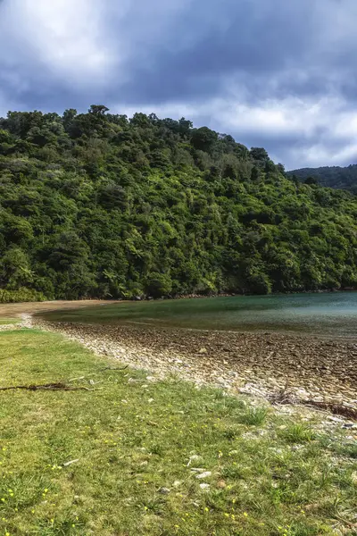 Picton Yeni Zelanda 'da turkuaz suyla çevrili gözlerden uzak bir plaj.