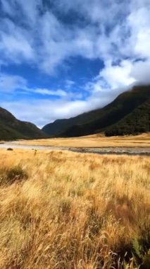 Yeni Zelanda, Güney Adası, Batı Yakası Bölgesi, Ulusal Park Dağı, Unesco Dünya Mirası Bölgesi