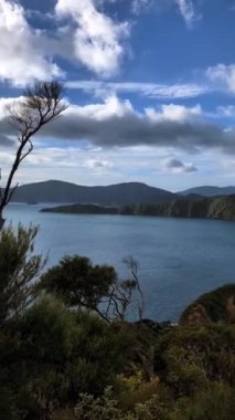 Queens Charlotte Sound 'un manzarası, Picton Yeni Zelanda