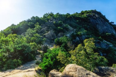 Güney Kore, Seul 'de dağ yürüyüşü patikası.