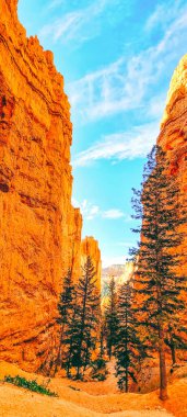 Utah, ABD 'deki Bryce Kanyonu' nda yürüyüş parkuruna geçiş.