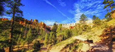 Hiking in Bryce Canyon with many hoodoos, blue skies, scrub brush, pines and red rocks clipart