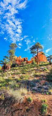 Rock formations of Bryce Canyon National Park seen from the Navajo Loop hike, Utah, Southwest USA. clipart