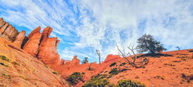 Bryce Kanyonu Navajo Loop yürüyüş yolu boyunca uzanan manzara, Bryce Canyon Ulusal Parkı, Utah, ABD.