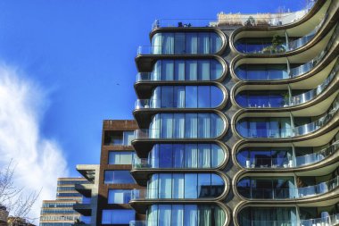 New York apartmanları High Line Park 'tan ön planda çimen ve pembe rudbeckia ile görüldü, güneşli bir yaz günü hiç kimse olmadan alındı..