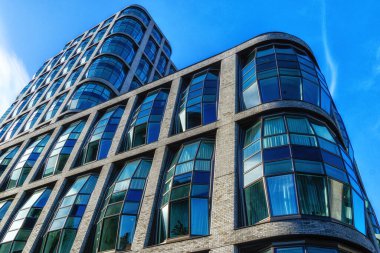 New York apartmanları High Line Park 'tan ön planda çimen ve pembe rudbeckia ile görüldü, güneşli bir yaz günü hiç kimse olmadan alındı..