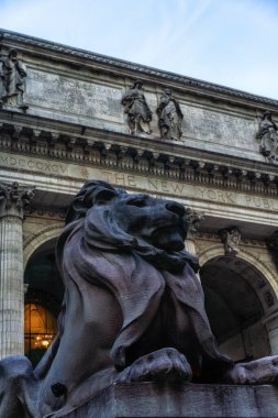 New York 'taki Halk Kütüphanesi' nin önündeki aslan heykelleri.