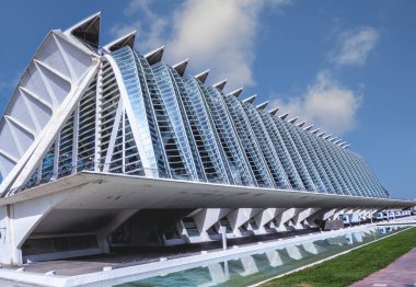 Ciudad de las Artes y las Ciencias 'ın modern simgesi. Santiago Calatrava ve Flix Candel tarafından tasarlandı.