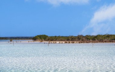 Laguna de Bacalar Laguna, Meksika, Quintana Roo 'da.