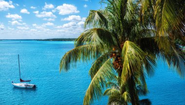 Bacalar, Quintana Roo, Meksika 'da tekne ve palmiye ağaçlarıyla güzel bir manzara..