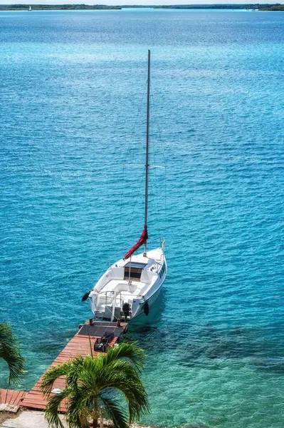 Bacalar, Quintana Roo, Meksika 'da tekne ve palmiye ağaçlarıyla güzel bir manzara..